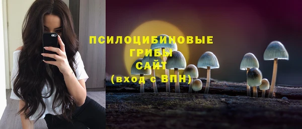 сатива Гусев