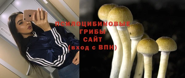 сатива Гусев