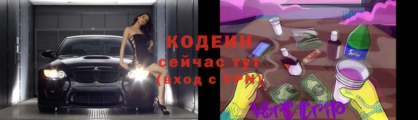 сатива Гусев