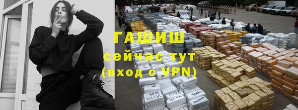 сатива Гусев