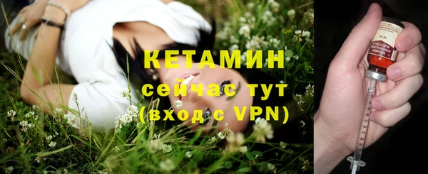 сатива Гусев