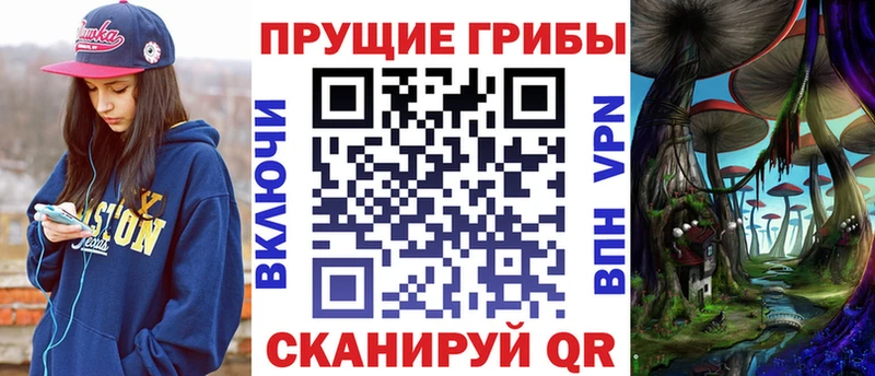 Псилоцибиновые грибы Psilocybe Данков